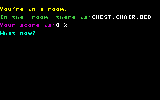 Adv_of_the_Year_gameplay.gif